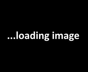 Chocolate Pores And Skin Cutie Rides Her Riding Trainer | HentaiVideo.tv